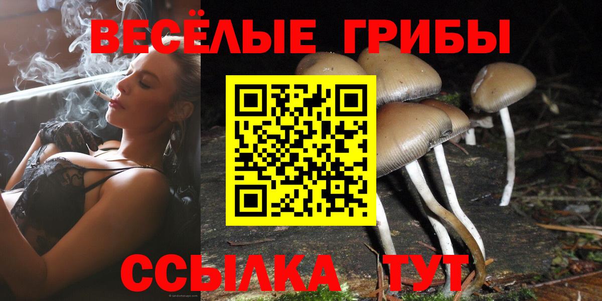 Нововоронеж  Псилоцибиновые грибы Psilocybine cubensis  Галлюциногенные грибы MAGIC MUSHROOMS  Вход с VPN 